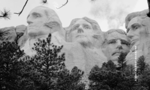 USA Wealth Report 2025